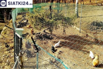 Siatki Międzychód - Siatka na woliery - zabezpieczenia ptaków w hodowli dla terenów Międzychodu